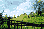 paysage
